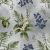 Magical Forest collection