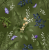 Fairytale Woodland collection